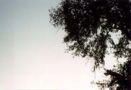 001229-12_thumb.jpg