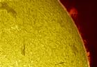 Sun-01-20-01color_thumb.jpg