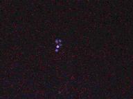 dscn0358_thumb.jpg
