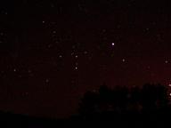 canismajor_thumb.jpg