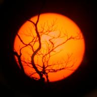 sunset1_thumb.jpg