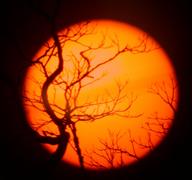 sunset4_thumb.jpg