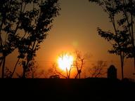 sunset5_thumb.jpg