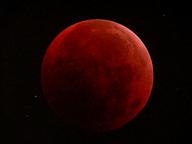 dscn0448_thumb.jpg