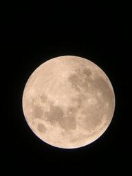 dscn1536_thumb.jpg
