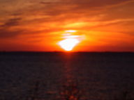 dscn3373_thumb.jpg