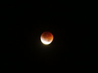 dsc00163_thumb.jpg