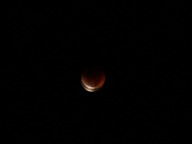 dsc00171_thumb.jpg