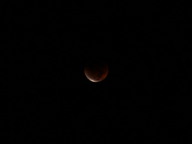 dsc00174_thumb.jpg