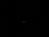 dsc00182_thumb.jpg