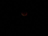 dsc00183_thumb.jpg