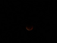 dsc00185_thumb.jpg
