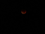 dsc00194_thumb.jpg