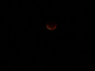 dsc00196_thumb.jpg