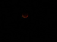 dsc00197_thumb.jpg