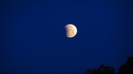 img_1566_thumb.jpg