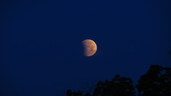 img_1575_thumb.jpg