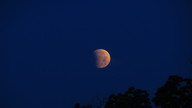 img_1576_thumb.jpg