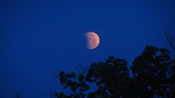 img_1578_thumb.jpg