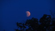 img_1579_thumb.jpg