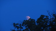 img_1585_thumb.jpg