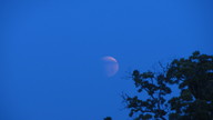 img_1588_thumb.jpg