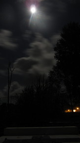 img_2909_thumb.jpg