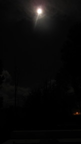 img_2911_thumb.jpg