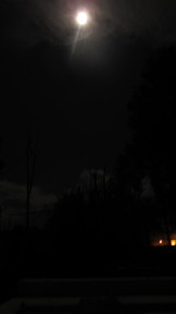 img_2912_thumb.jpg