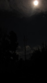 img_2915_thumb.jpg