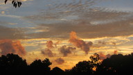 img_2929_thumb.jpg