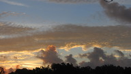 img_2930_thumb.jpg