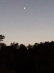 img_20200519_210947_thumb.jpg