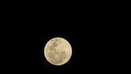 img_3462_thumb.jpg