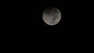 img_3534_thumb.jpg