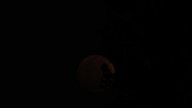 img_3550_thumb.jpg
