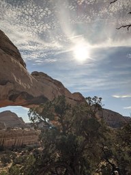 pxl_20231014_162106835_thumb.jpg