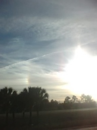 sundog_thumb.jpg