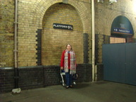 platform9.75_thumb.jpg