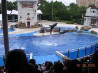 seaworld1_thumb.jpg