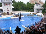 seaworld4_thumb.jpg