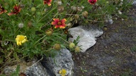 2012-10-27_12-09-52_165_thumb.jpg