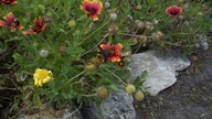 2012-10-27_12-10-03_269_thumb.jpg