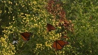 2012-10-27_13-33-33_705_thumb.jpg