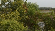 2012-10-27_13-33-43_224_thumb.jpg