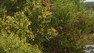 2012-10-27_13-33-52_646_thumb.jpg
