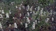 2012-10-27_13-36-12_319_thumb.jpg