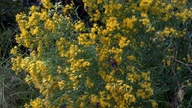 2012-10-27_13-38-15_57_thumb.jpg