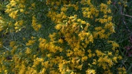 2012-10-27_13-38-25_773_thumb.jpg