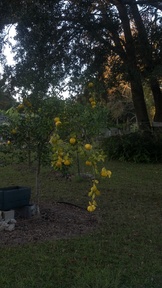 20121022_183717_thumb.jpg